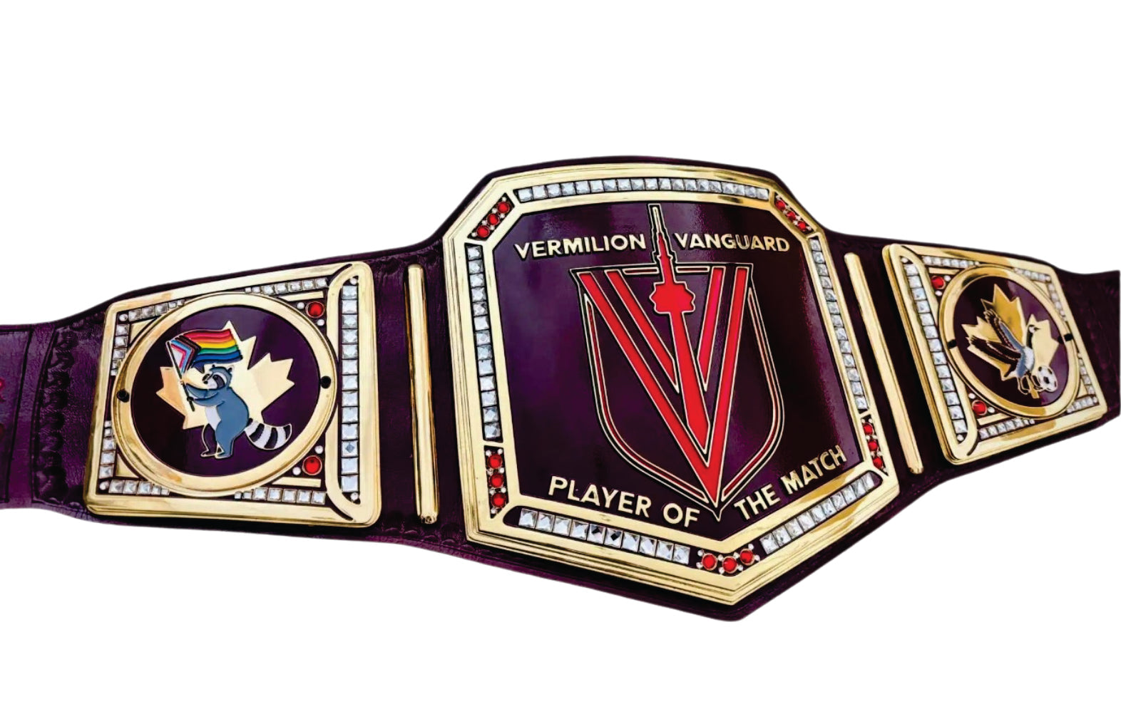 Vermilion Vanguard Player Of The Match Champion Belt
