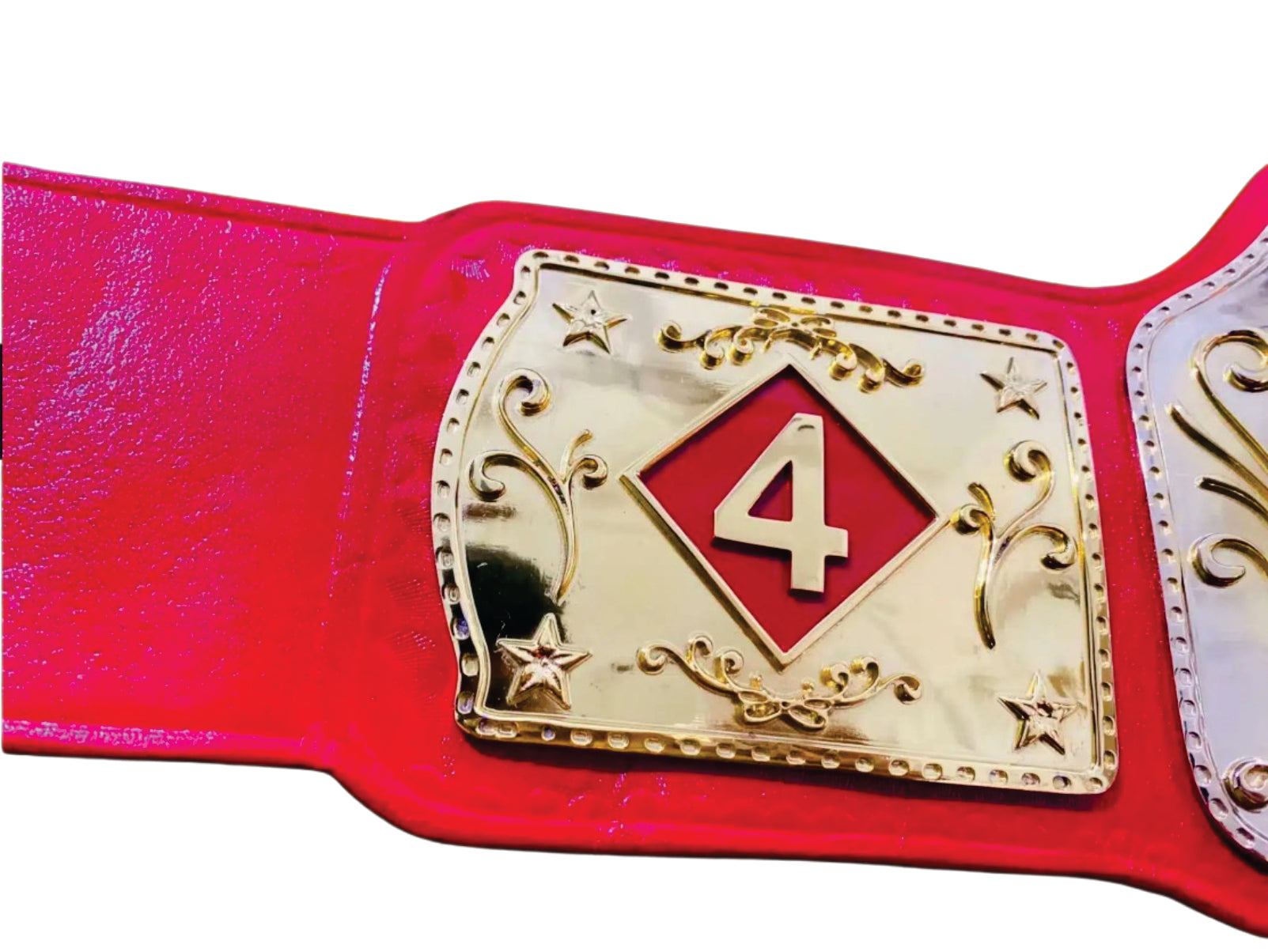 2023 Harry Schmidt Award Champions Championship Belt