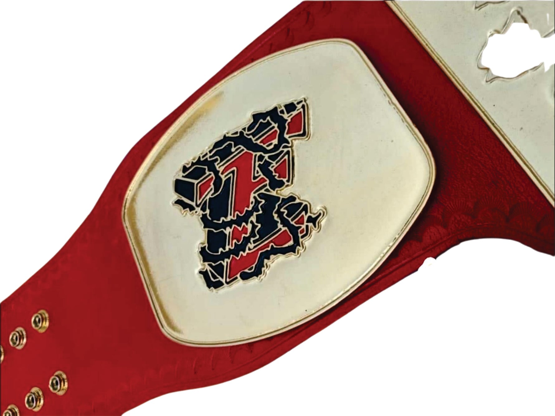 Tomorrow's End Custom Championship Wrestling Belt
