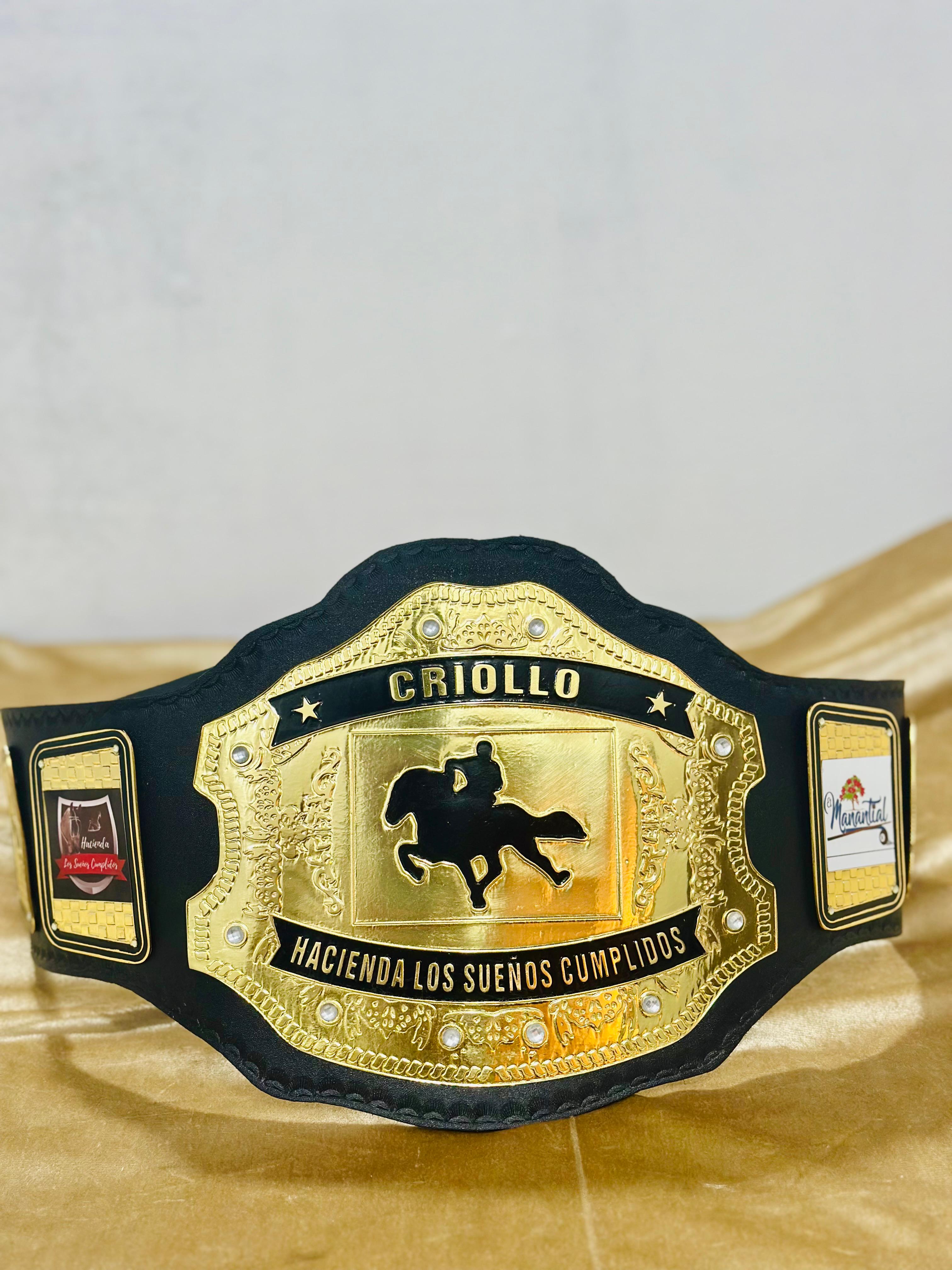 Custom Belts, Add Your Name Plate on Customizable Championship Belts for Halloween, Christmas, Valentine's, Skull Bone (Halloween)