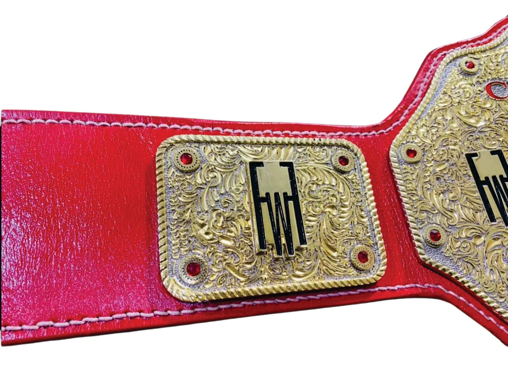 Custom FFW Pro Wrestling Championship Belt