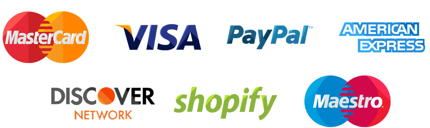 Logos of various payment methods including MasterCard, Visa, PayPal, American Express, Discover, Shopify, and Maestro on a white background.