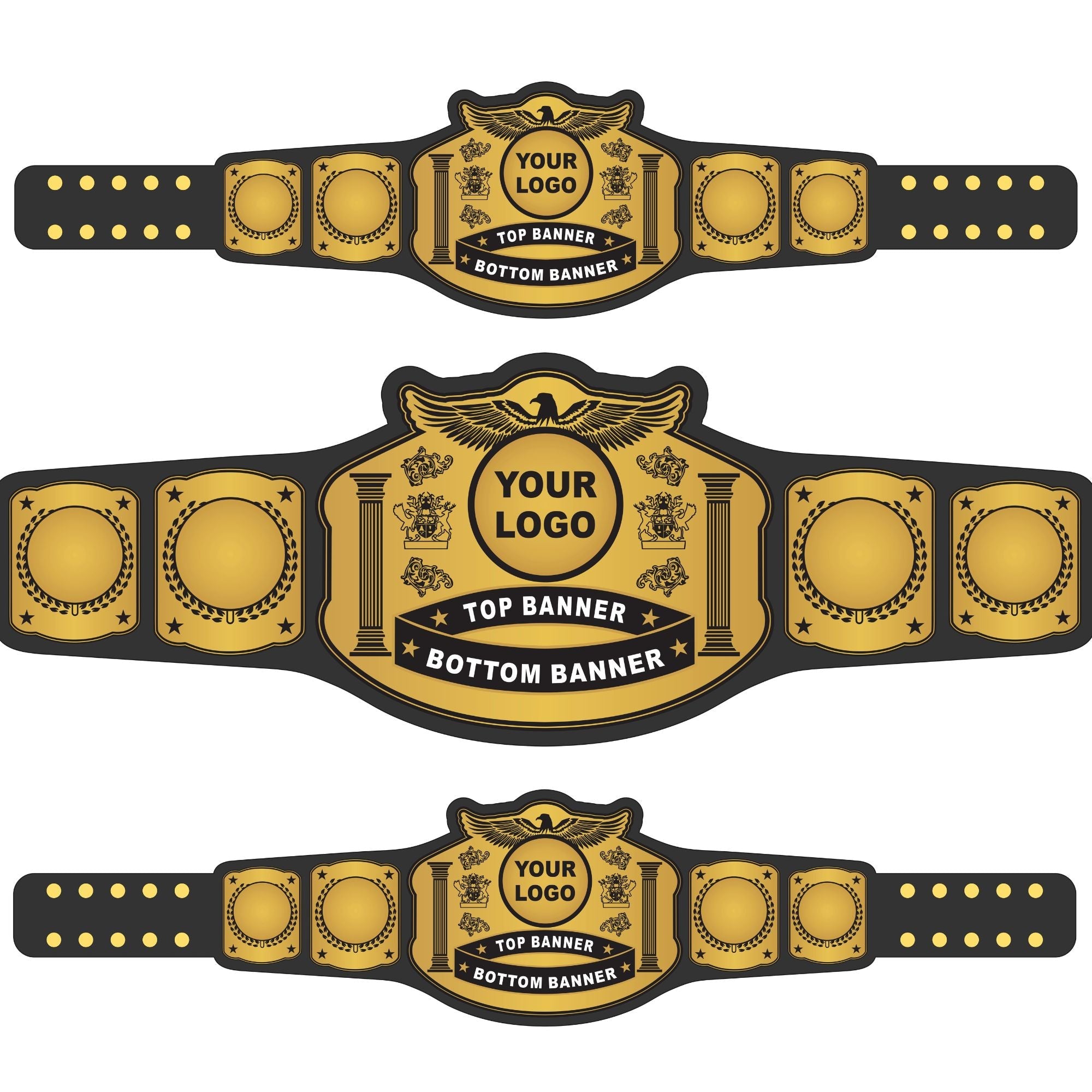 Signature Wrestling Championship Belt