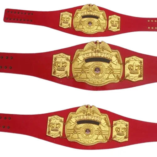 N.A.B.F 1973 Heavyweight Boxing Championship Title Belt